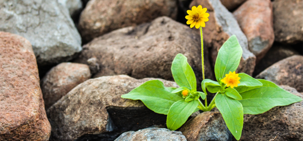 Physics Life - Collaboration